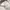 HOODIE BKBT WHITE photo 7