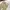 Chino Pants Classic UN*QLO Slim fit Beige - Size 31 photo 3