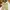 Chino Pants Classic UN*QLO Slim fit Beige - Size 31 photo 1