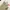 Chino Pants Classic UN*QLO Slim fit Beige - Size 31 photo 4