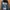 Hoodie Chambre