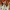 Nike Air Jordan 6 Tinker photo 4
