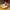 Nike Air Jordan 6 Tinker photo 3