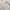 HOODIE SOMETHING ROTTEN FULL ZIPPER  photo 4