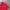 Kaos polo shirt LACOSTE x Cool Cats Red colour Size S photo 4