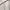 HOODIE POLOS WHITE photo 5