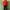 Kappa Y2K Sportswear Track jacket Pria red photo 2