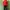 Kappa Y2K Sportswear Track Jacket Pria Red