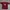 Sportswear Jersey Pria Burgundy