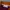 Sportswear Jersey Pria burgundy photo 5