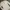 Anko long sleeve white shirt  photo 2