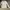 Anko long sleeve white shirt  photo 1