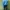 Nike Streetwear Sportswear Windbreaker Pria blue photo 3