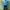 Nike Streetwear Sportswear Windbreaker Pria blue photo 2