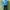 Nike Streetwear Sportswear Windbreaker Pria Blue