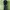 Adidas Y2K Sportswear Track jacket Pria black photo 2