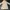Vintage Long Hooded Jacket Balmain for winter photo 2
