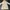 Vintage Long Hooded Jacket Balmain For Winter