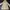 Vintage Long Hooded Jacket Balmain for winter photo 1