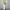 Acker sweatpants grey photo 8