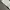 Acker sweatpants grey photo 4