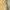 Nike ACG Gorpcore Sportswear Windbreaker Pria yellow photo 5