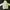 Hoodie Ambush Side Logo