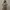 Jumpsuit tube flower  photo 1