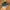 New Balance 509 Black not NB 530 1906 2002r 990 photo 1