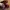 Loafers/Mules/FlatShoes/Marry Jane  photo 6