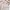 Primark Minimalist Puffer jacket Wanita pink photo 8