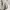 Primark Minimalist Puffer jacket Wanita pink photo 4