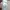 Primark Minimalist Puffer jacket Wanita pink photo 6
