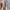 Marmot Casual T-shirt Pria gray photo 4