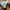 New Balance 1906R  photo 6