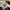 Vans knu Skool All Black photo 5