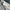 Lee Vintage Jeans Pria blue photo 8