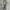 Belt leather sintetis mix canvas esquire photo 1