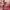 Vintage Track jacket Pria red photo 5