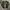 Jacket Casual Bomber Army Brand Urban Casual Size L photo 1