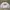 Vintage Sweatshirt Pria white photo 2