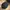 Snap Anchor Patch Green Under Visor Acrylic Wool photo 3