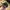 Snap Anchor Patch Green Under Visor Acrylic Wool photo 5