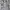 KAOS ANIME AOP FULL GRAPHICS ORIGINAL 100% photo 3