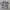 KAOS ANIME AOP FULL GRAPHICS ORIGINAL 100% photo 1