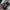 Burberry Oversized Check Geometric Frame Sunglasses