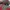 Burberry oversized check geometric frame sunglasses photo 2