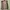 507. Rompi PG CLUB Size L P61  LD106 photo 6