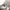 The North Face Gorpcore Short Pria cream photo 5