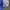 Chicago Cubs Worldseries 2016 By 47brand photo 3